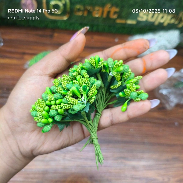 Pollen Bunch Of 12 (144 Pc) Green 