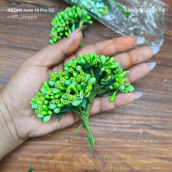 Pollen Bunch Of 12 (144 Pc) Green 