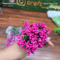 Pollen Bunch Of 12 (144 Pc) Pink 