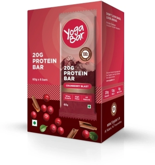 Yogabar Whey Protein Bar | Chocolate Cranberry, Pack of 6 |