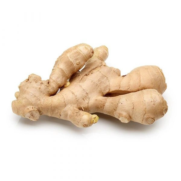 Ginger (अदरक)