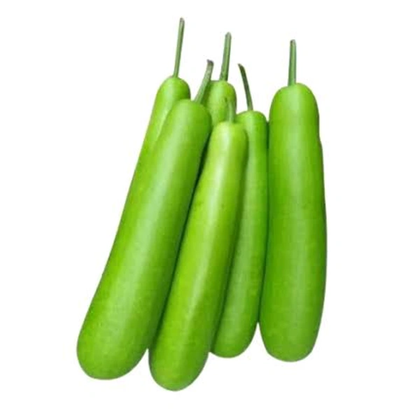 Lauki (लौकी)