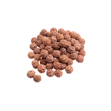 Rudraksha