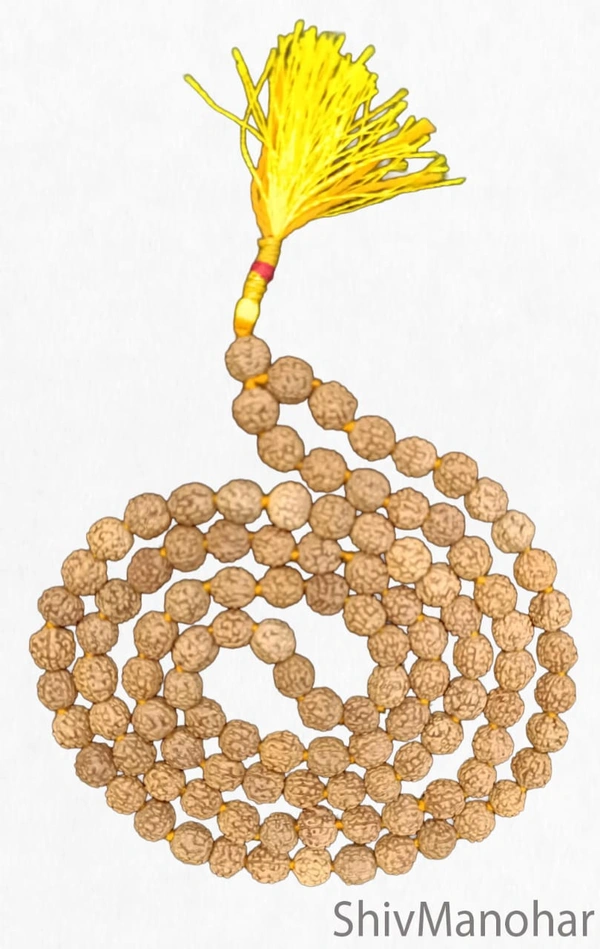 Rudraksha Mala / Rudraksha rosary (bead size 7mm-8mm)