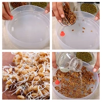 0070 Plastic 4 Compartment Sprout Maker, White