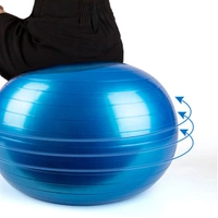 1592 Anti-Burst Exercise Heavy Duty Gym Ball (Multicolour) (75Cm) (No Box & No Pump)