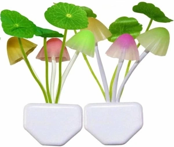 MVS Auto Dimmer Color Change Mushroom Flowers Night Lamp (Pack of 2) - Multicolor, Free