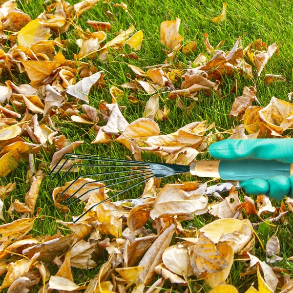 1741 Stainless Steel Tooth Garden Leaf Rake