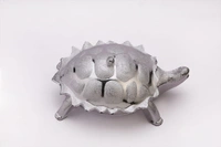 2237 Multipurpose Tortoise Shape Dry Fruit/ Gift Box