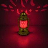 6014 Lantern Shape Decorative Led Lamp Set of 24pcs