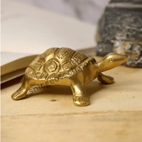 Brass Tortoise 9066