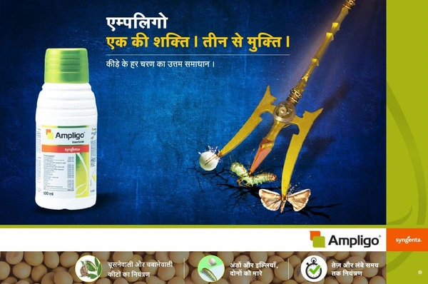 Syngenta Ampligo Insecticide (Chlorantraniliprole 10 % + Lambda cyhalothrin 5% ZC) - 500ml