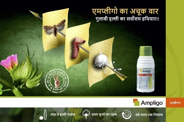 Syngenta Ampligo Insecticide (Chlorantraniliprole 10 % + Lambda cyhalothrin 5% ZC) - 80ml