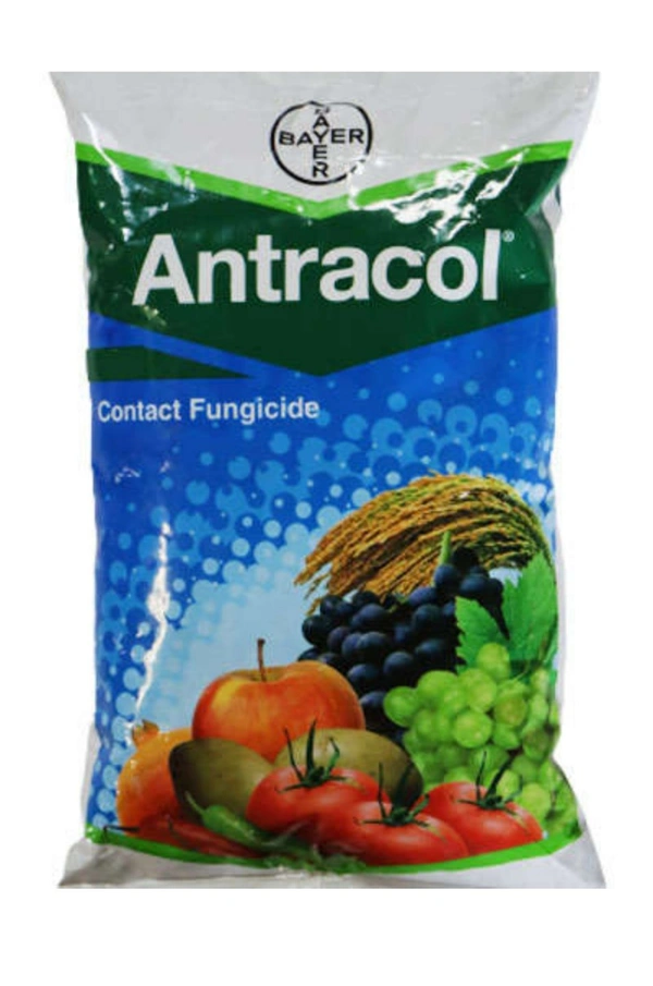 Bayer Antracol Fungicide (Propineb 70% WP) - 1000gm