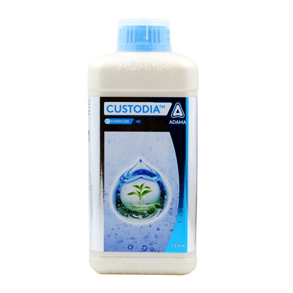 Custodia - 250 ML