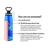 Borosil Gosport Cricket 900 ML Stainless Steel - Vacuum Insulated Flask Water Bottle, Blue