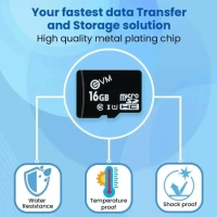 EVM Micro SD Card 16GB SD HC Class 10 100 MB/S (BLACK) - 16 GB