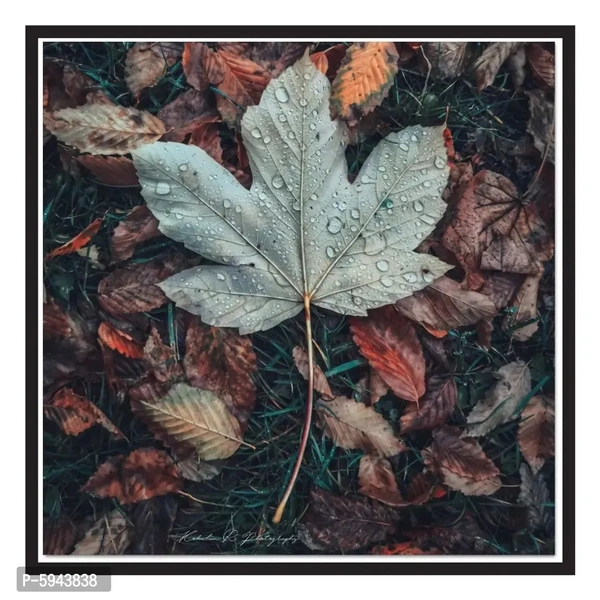 Beautiful Self Adhesive Paper Poster for Wall Deacute;cor (12x12 inches)