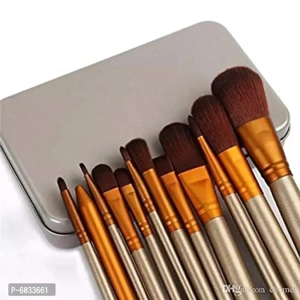 12 PCS BRUSH