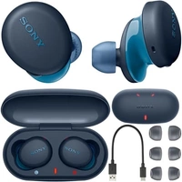 Sony WF-XB700 Truly Wireless Extra Bass Bluetooth Earbuds with 18 Hours Battery Life, True Wireless Earbuds with Mic for Phone Calls, Quick Charge, BT Ver 5.0 (Blue) - Blue