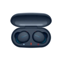 Sony WF-XB700 Truly Wireless Extra Bass Bluetooth Earbuds with 18 Hours Battery Life, True Wireless Earbuds with Mic for Phone Calls, Quick Charge, BT Ver 5.0 (Blue) - Blue