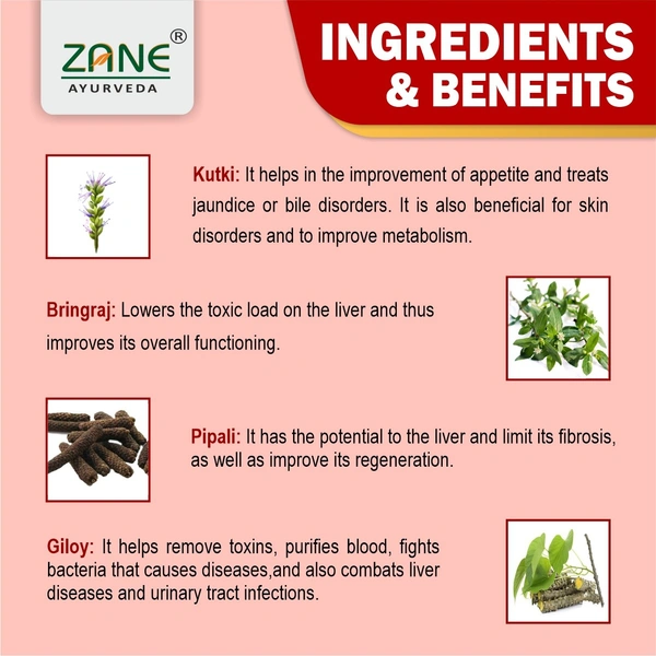 ZANE AYURVEDA LIVZANE SF Syrup – Sugar-Free Ayurvedic Liver Tonic by Zane Ayurveda