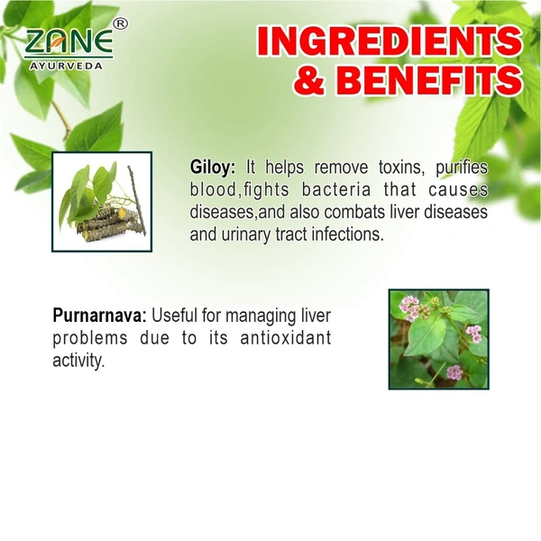 Livjyoti DS 4G Syrup — Ayurvedic Herbal Syrup for Urinary & Hepato-Renal Support | Antiurolithic & Diuretic Herbal Tonic