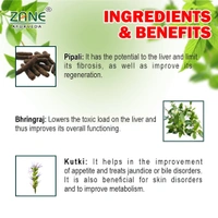 Livjyoti DS 4G Syrup — Ayurvedic Herbal Syrup for Urinary & Hepato-Renal Support | Antiurolithic & Diuretic Herbal Tonic