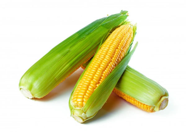 🟡 முழு ஸ்வீட் கார்ன் / Sweet Corn Unpeeled - 2 Pcs