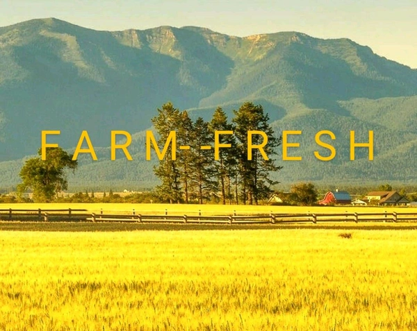 Farm Fresh Prime Chitra Rajma 500gm.