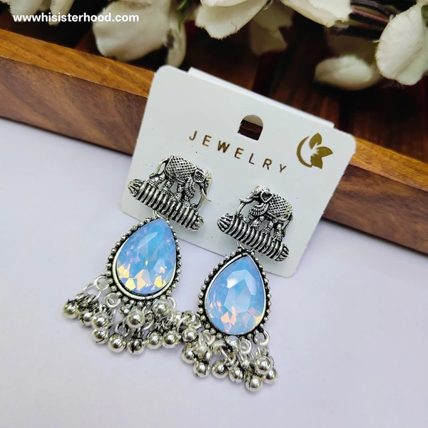 Oxisided Earring 13