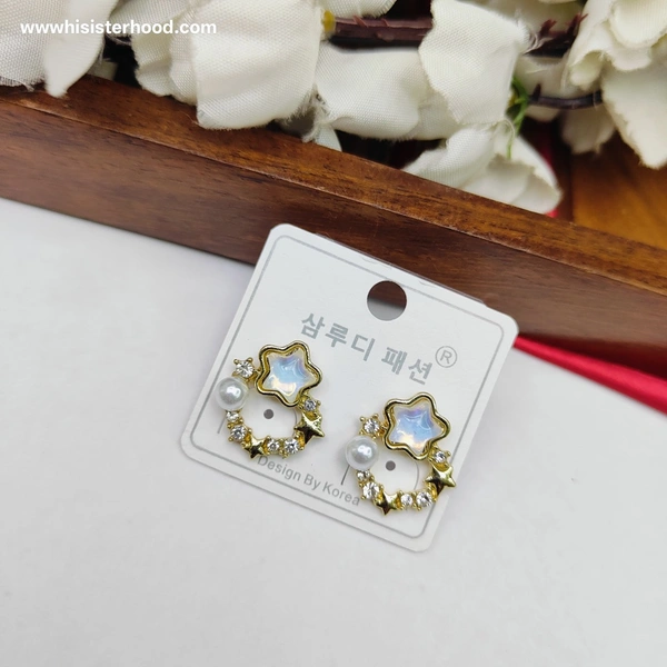 Imported Earring 27