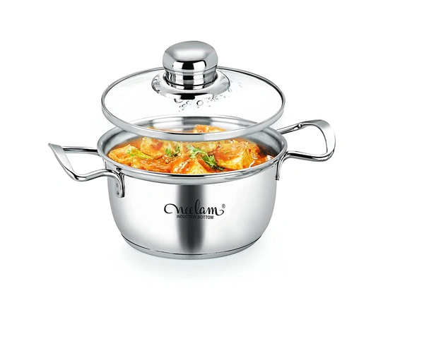 Neelam Conical Sauce Pot Induction Bottom, Cook & Serve Pot Glass Lid 20 cm