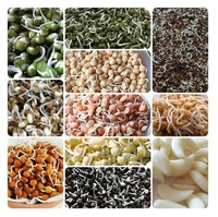 Nalini Sprout Maker with 2 Compartments for Multi Purpose Use - Plastic Grocery Container Sprouted Grains Seeds Dal Channa Chole Ragi Organic Sprouting Jar