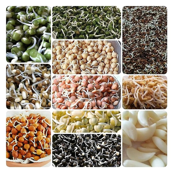 Nalini Sprout Maker with 2 Compartments for Multi Purpose Use - Plastic Grocery Container Sprouted Grains Seeds Dal Channa Chole Ragi Organic Sprouting Jar