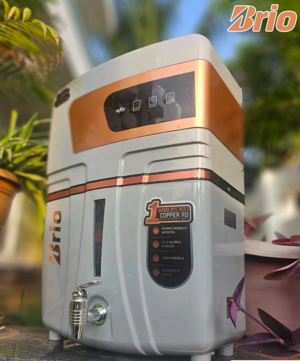 NEXUS BRIO Nexus BRIO - White, 40%