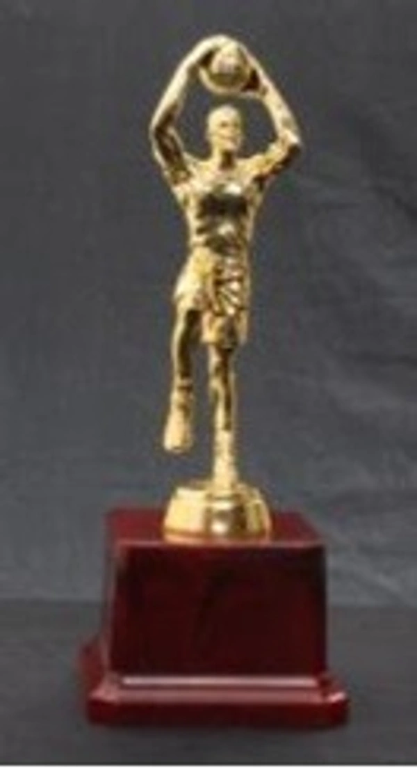 FB426 Vollyball - Bangalore 24 hrs up to 72 hours / Other Cities 4 to 7 days., SBG