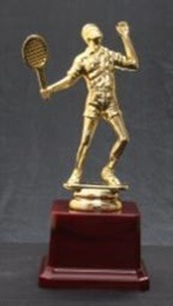 FB422 BB - Bangalore 24 hrs up to 72 hours / Other Cities 4 to 7 days., SBG