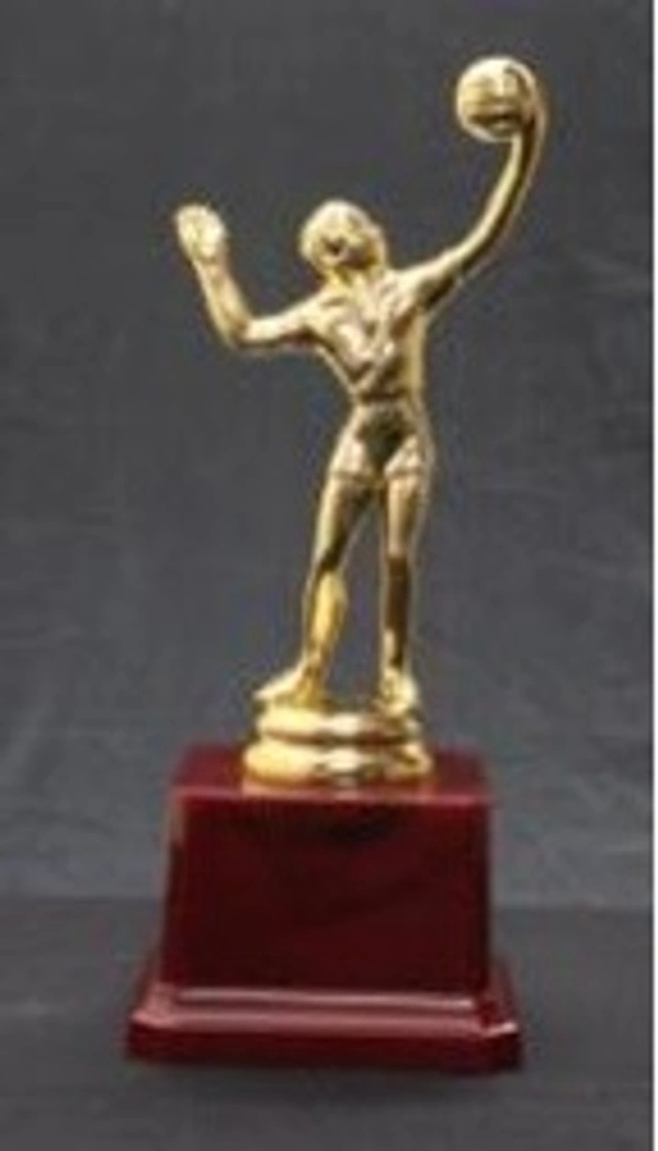 FB427 Vollyball - Bangalore 24 hrs up to 72 hours / Other Cities 4 to 7 days., SBG