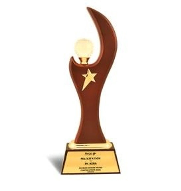 V483 Wood Metal Trophies - Bangalore 24 hrs up to 72 hours / Other Cities 4 to 7 days., SBG