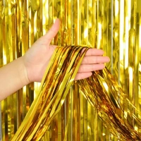 Foil Fringe Curtain