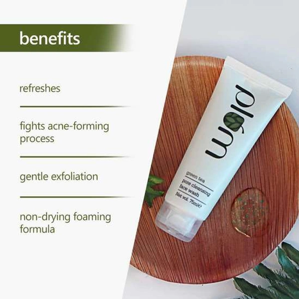 Plum Green Tea Pore Cleansing Face Wash 120 ml