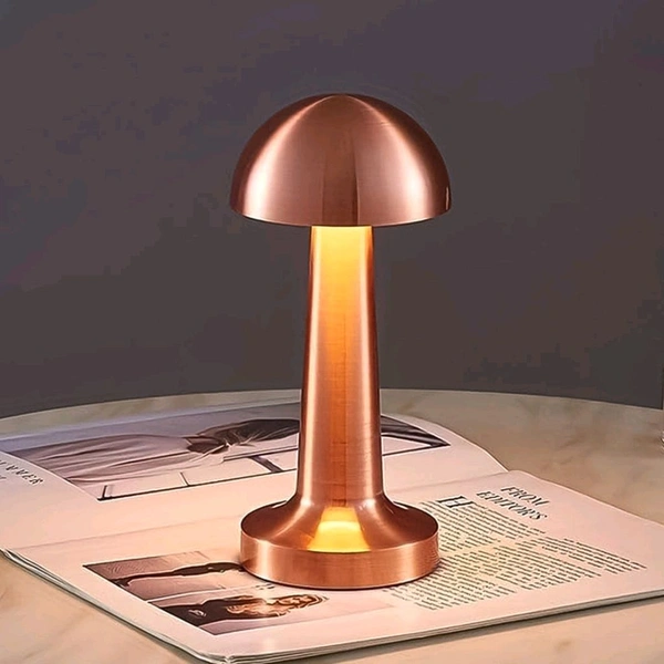 LED Lamp with Touch Control | Decorative Desk Lamp, Portable Metal LED Table Lamp, USB Rechargeable, 3 Colour, 3 Levels Brightness, Dimmable Eye Protection Modern Lamp for Home Decor Party Kids Room Bedroom (1 Pc)