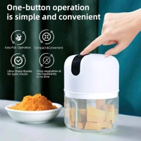 Wireless USB Rechargeable Mini Electric Garlic Machine / Chopper, Food Processor For Garlic, Ginger, Onion, Vegetable, Meat, Nuts Stainless Steel 3 Blades (250 Ml) 
