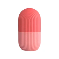 Beauty Face Massage Ice Roller for Face & Eye Reusable Face Rollers Facial Roller - Pack Of 6