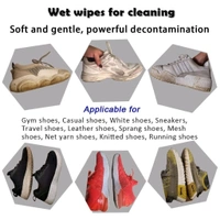 Shoe Cleaning Wet Wipes And Multifunctional Scrubbing Brush Combo