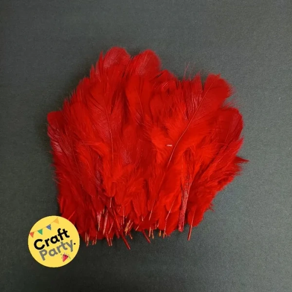 Red Feathers - Pack Of 80pcs