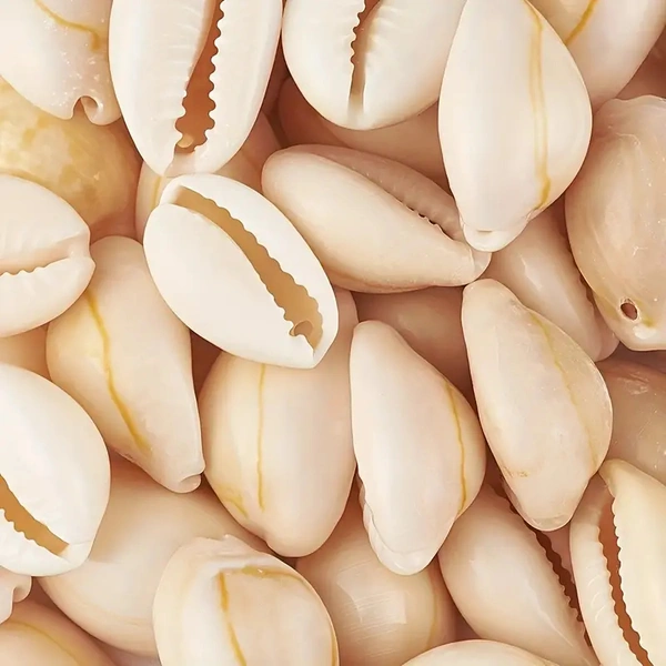 50pcs White Natural Spiral Shell Beads, Sea Shells, Beach Spacer Beads, Charms, Cowrie Shells Loose Beads for DIY Earring Bracelet, Necklace Jewelry Making