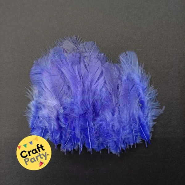 Blue Feathers - Pack Of 80pcs