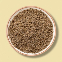 Cumin Whole - 100 Gm
